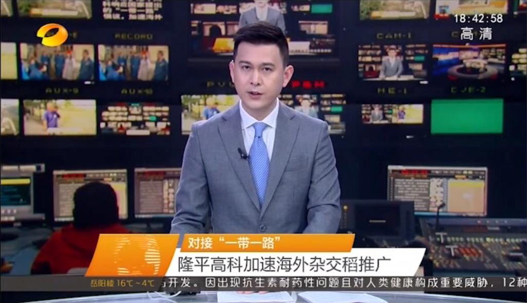 对接“一带一路” 平博pinnacle体育平台高科加速海外杂交稻推广